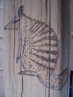 Termite Shield